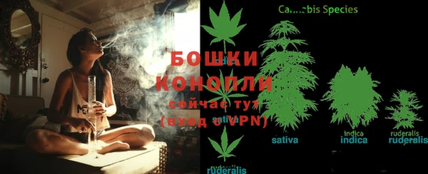 стафф Белокуриха