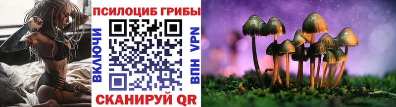 Купить  Ейск  Псилоцибиновые грибы Psilocybine cubensis 
